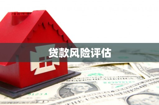 桐城贷款风险评估