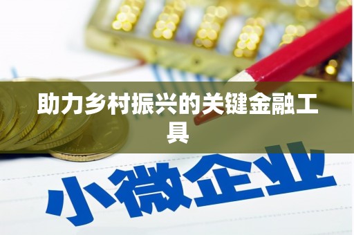 桐城助力乡村振兴的关键金融工具