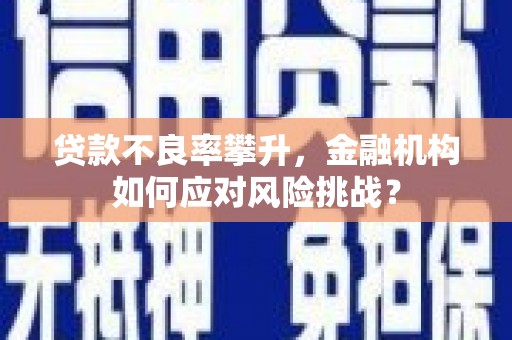 桐城贷款不良率攀升，金融机构如何应对风险挑战？