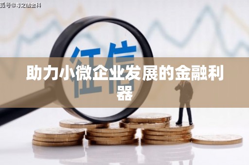 桐城助力小微企业发展的金融利器