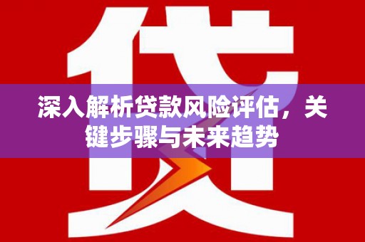 桐城深入解析贷款风险评估，关键步骤与未来趋势