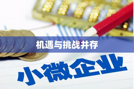 桐城机遇与挑战并存