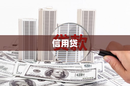 桐城信用贷