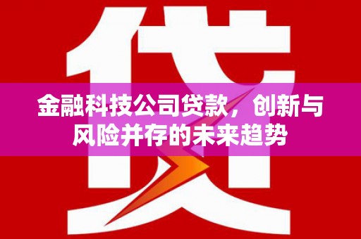 桐城金融科技公司贷款，创新与风险并存的未来趋势