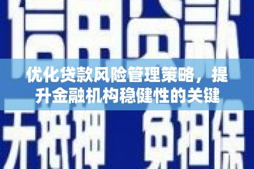 桐城优化贷款风险管理策略，提升金融机构稳健性的关键