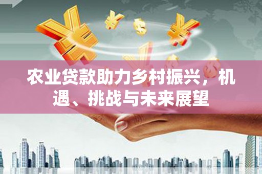 桐城农业贷款助力乡村振兴，机遇、挑战与未来展望