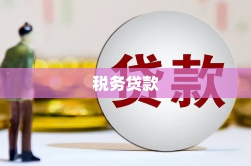 桐城税务贷款