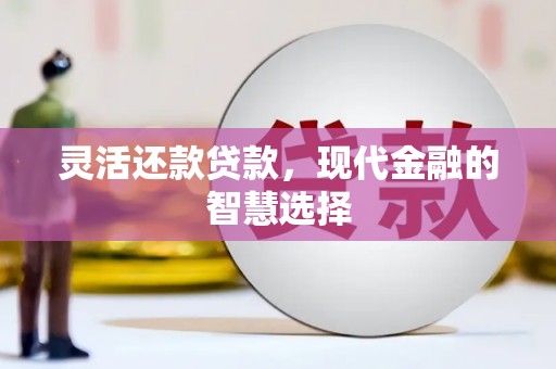 桐城灵活还款贷款，现代金融的智慧选择