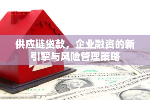 桐城供应链贷款，企业融资的新引擎与风险管理策略