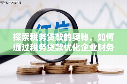桐城探索税务贷款的奥秘，如何通过税务贷款优化企业财务