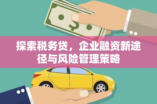 桐城探索税务贷，企业融资新途径与风险管理策略