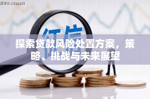 桐城探索贷款风险处置方案，策略、挑战与未来展望
