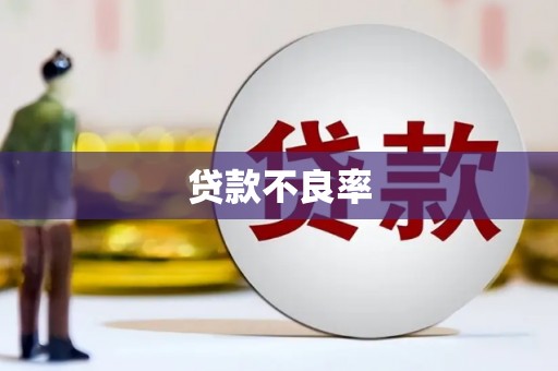 桐城贷款不良率