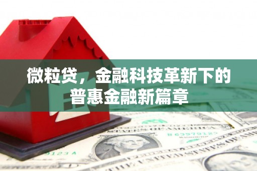 桐城微粒贷，金融科技革新下的普惠金融新篇章