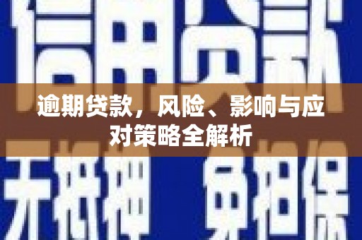 桐城逾期贷款，风险、影响与应对策略全解析