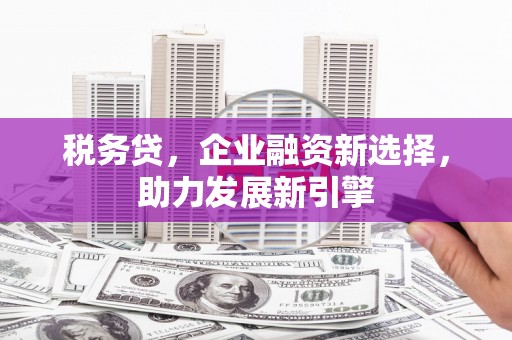 桐城税务贷，企业融资新选择，助力发展新引擎