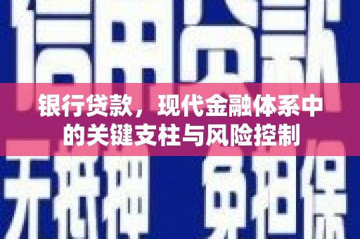 桐城银行贷款，现代金融体系中的关键支柱与风险控制