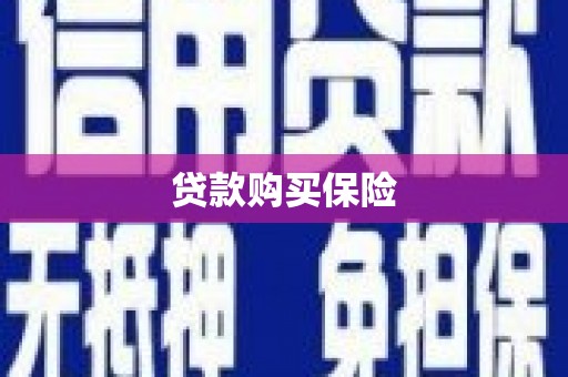 桐城贷款购买保险