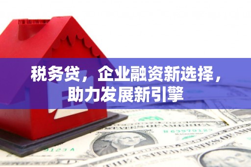 桐城税务贷，企业融资新选择，助力发展新引擎