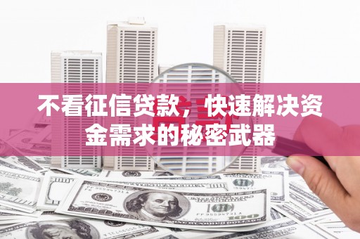 桐城不看征信贷款，快速解决资金需求的秘密武器