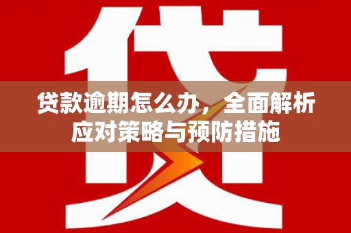 桐城贷款逾期怎么办，全面解析应对策略与预防措施