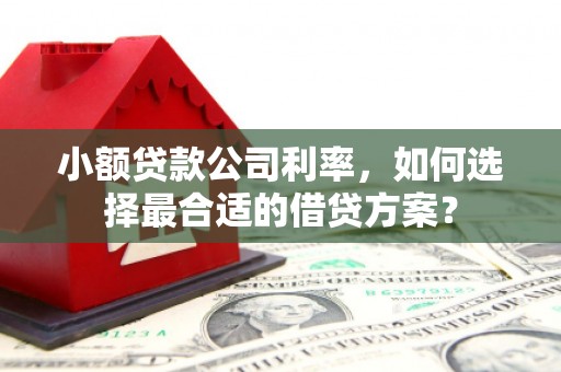 桐城小额贷款公司利率，如何选择最合适的借贷方案？