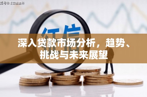 桐城深入贷款市场分析，趋势、挑战与未来展望