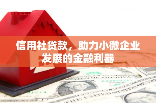 桐城信用社贷款，助力小微企业发展的金融利器