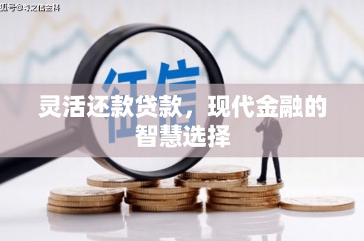 桐城灵活还款贷款，现代金融的智慧选择