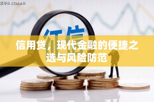 桐城信用贷，现代金融的便捷之选与风险防范