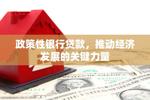 桐城政策性银行贷款，推动经济发展的关键力量