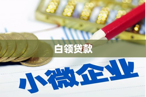 桐城白领贷款