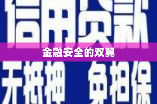 桐城金融安全的双翼