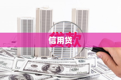 桐城信用贷