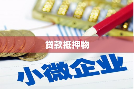 桐城贷款抵押物