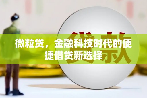 桐城微粒贷，金融科技时代的便捷借贷新选择