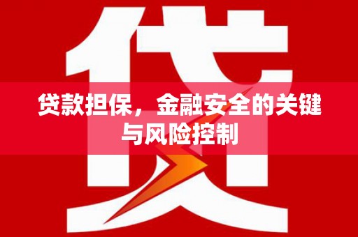 桐城贷款担保，金融安全的关键与风险控制