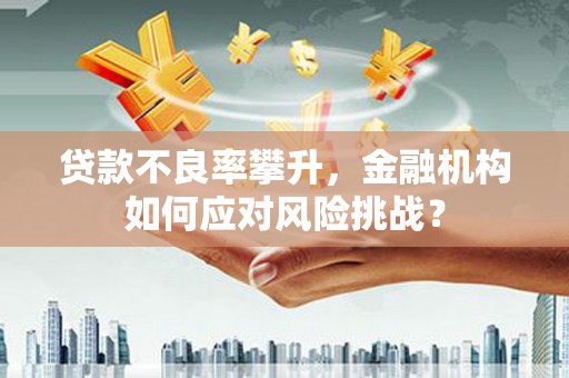 桐城贷款不良率攀升，金融机构如何应对风险挑战？