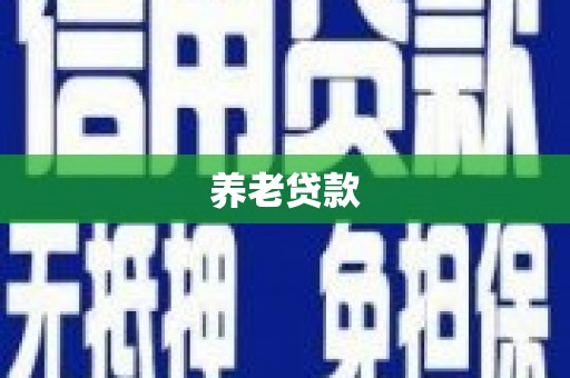 桐城养老贷款