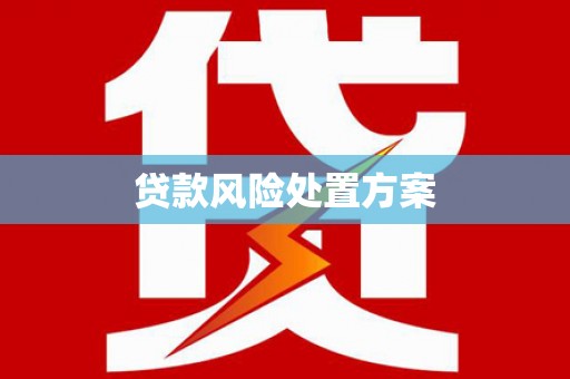桐城贷款风险处置方案