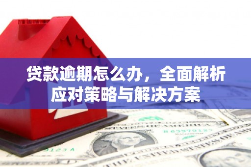 桐城贷款逾期怎么办，全面解析应对策略与解决方案