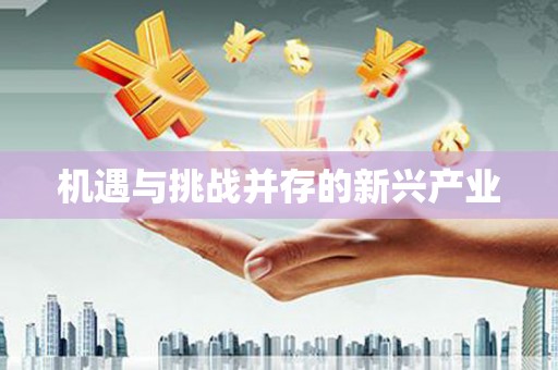 桐城机遇与挑战并存的新兴产业