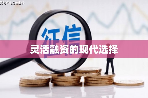 桐城灵活融资的现代选择