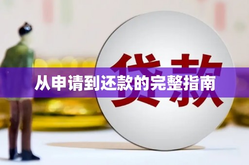 桐城从申请到还款的完整指南