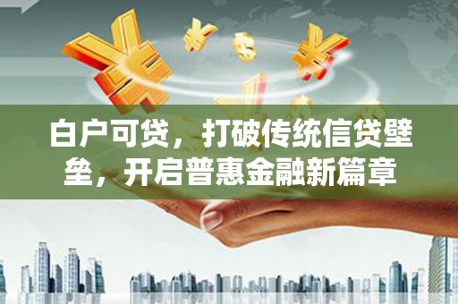 桐城白户可贷，打破传统信贷壁垒，开启普惠金融新篇章