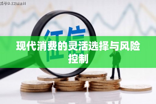 桐城现代消费的灵活选择与风险控制