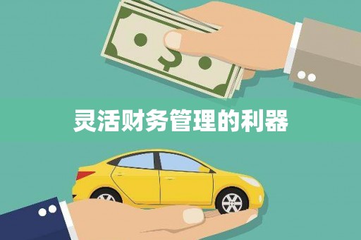 桐城灵活财务管理的利器