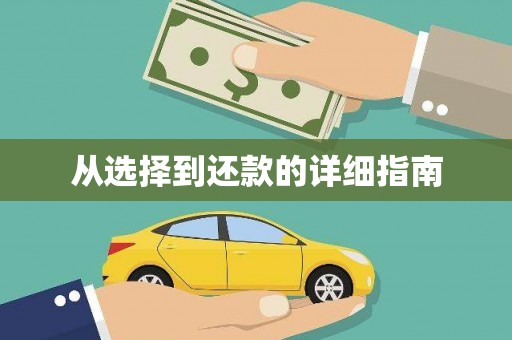 桐城从选择到还款的详细指南