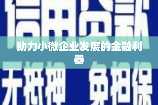 桐城助力小微企业发展的金融利器