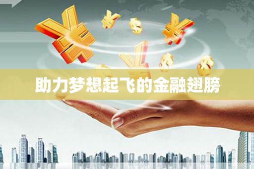 桐城助力梦想起飞的金融翅膀